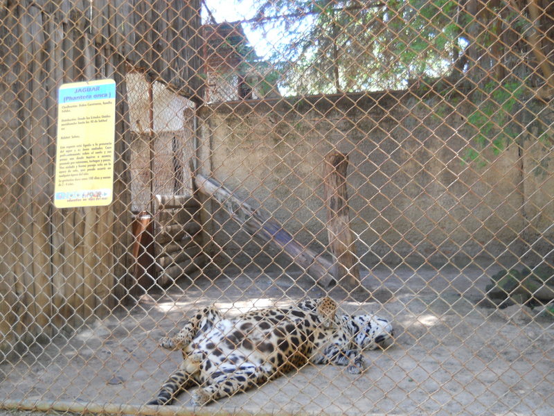 Foto: Quilpue - Quilpue (Los Lagos), Chile