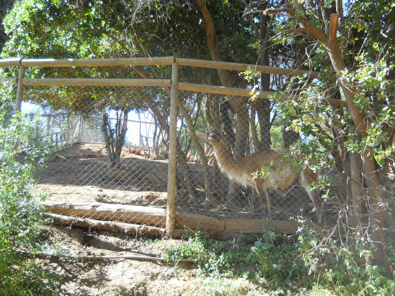 Foto: Quilpue - Quilpue (Valparaíso), Chile