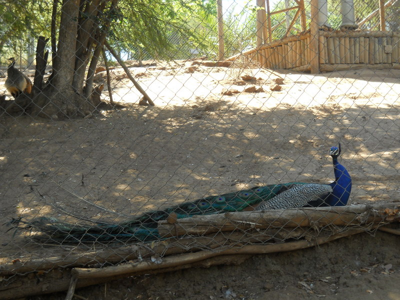 Foto: Quilpue - Quilpue (Los Lagos), Chile