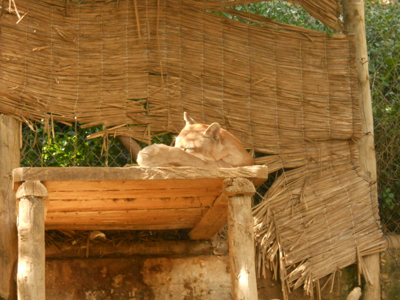 Foto: Quilpue - Quilpue (Valparaíso), Chile