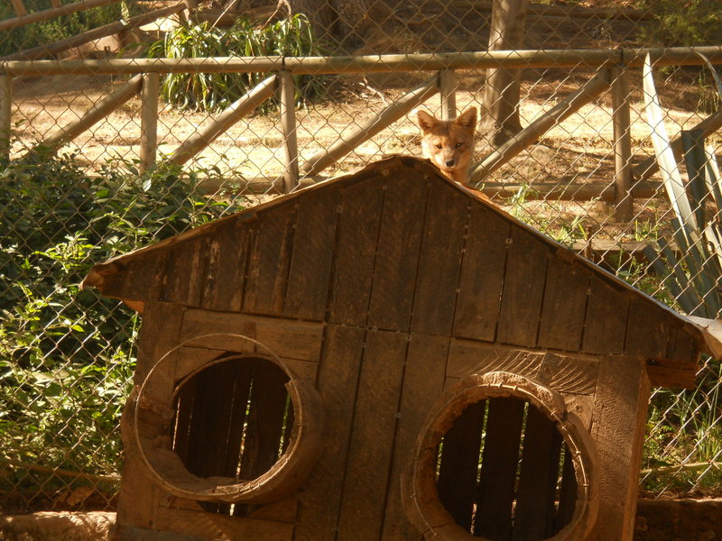 Foto: Quilpue - Quilpue (Valparaíso), Chile