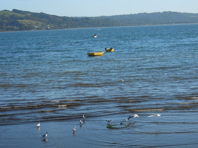 Foto: Ancud - Ancud (Los Lagos), Chile