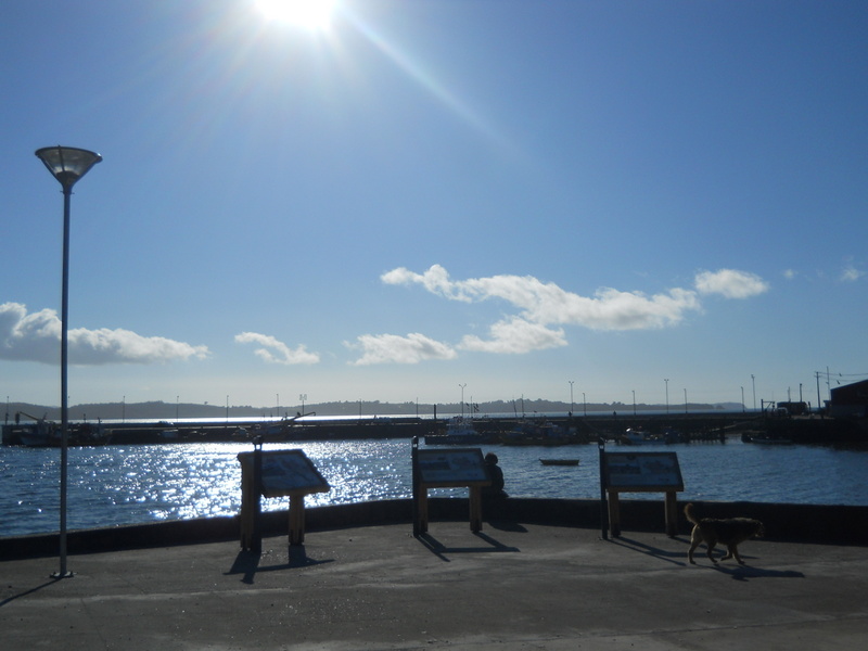 Foto: Ancud - Ancud (Los Lagos), Chile