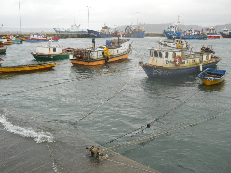 Foto: Chonchi - Chonchi (Los Lagos), Chile