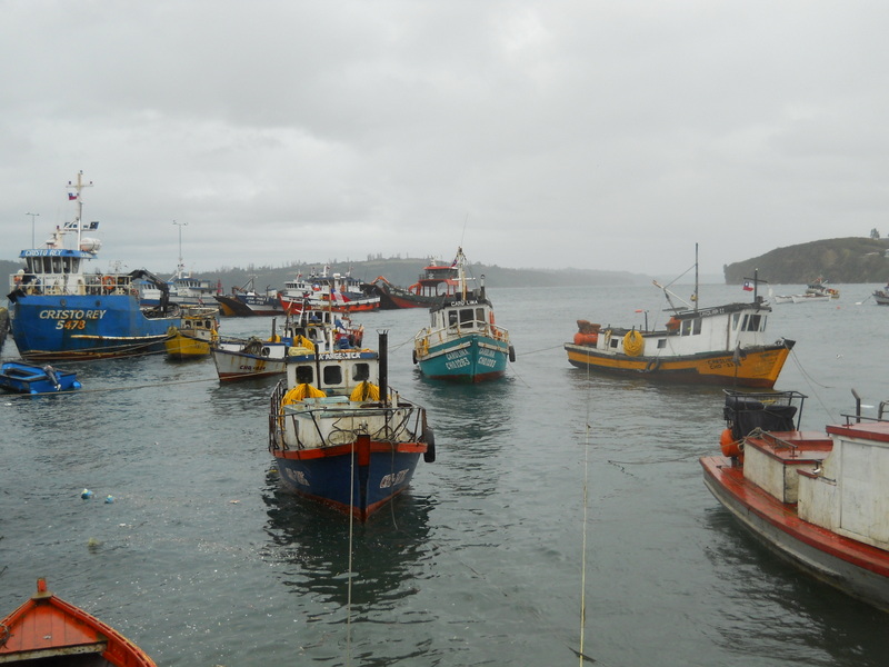 Foto: Chonchi - Chonchi (Los Lagos), Chile