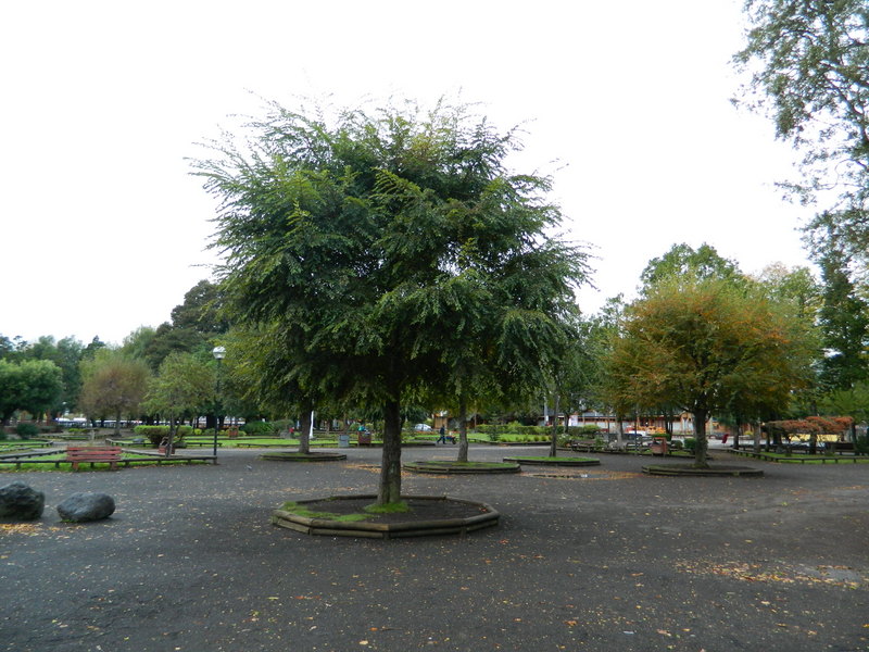 Foto: Pucon - Pucon (Araucanía), Chile