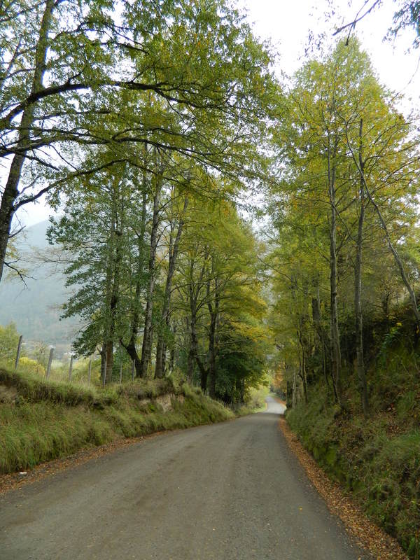 Foto: Curarrehue - Curarrehue (Araucanía), Chile