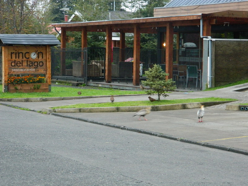 Foto: Pucon - Pucon (Valparaíso), Chile