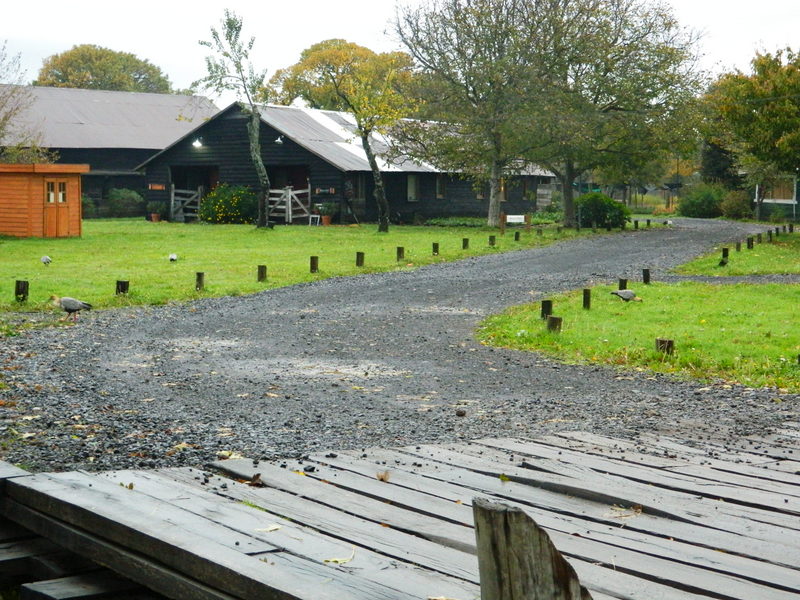 Foto: Pucon - Pucon (Araucanía), Chile