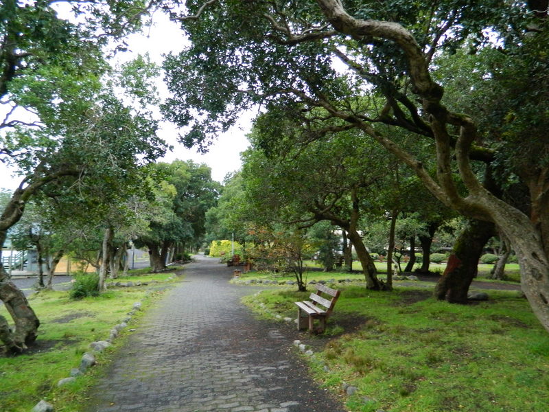 Foto: Pucon - Pucon (Araucanía), Chile