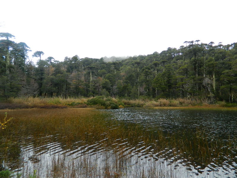 Foto: Pucon - Pucon (Araucanía), Chile