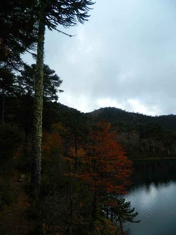 Foto: Pucon - Pucon (Araucanía), Chile