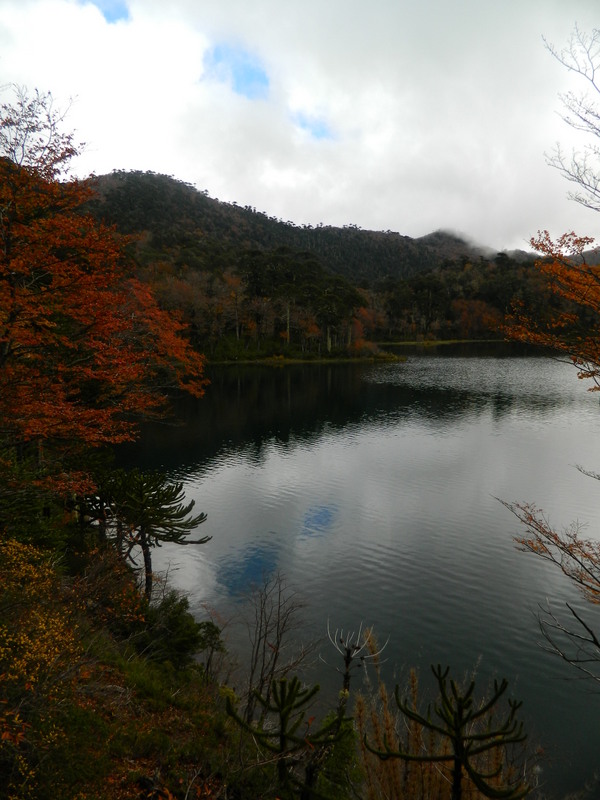 Foto: Pucon - Pucon (Araucanía), Chile