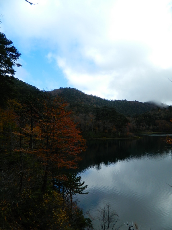 Foto: Pucon - Pucon (Araucanía), Chile