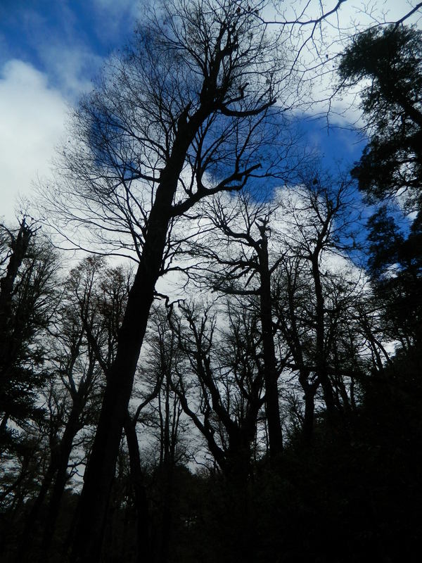 Foto: Pucon - Pucon (Araucanía), Chile