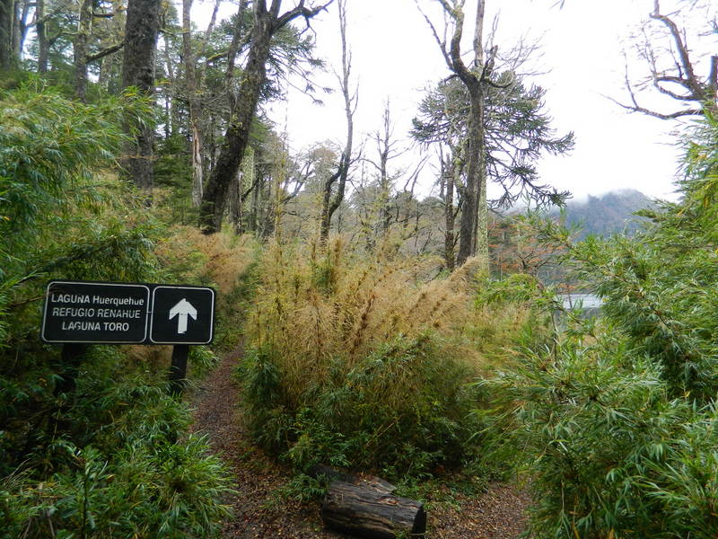 Foto: Pucon - Pucon (Araucanía), Chile