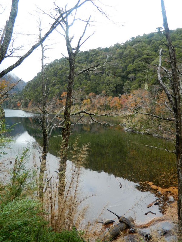 Foto: Pucon - Pucon (Araucanía), Chile