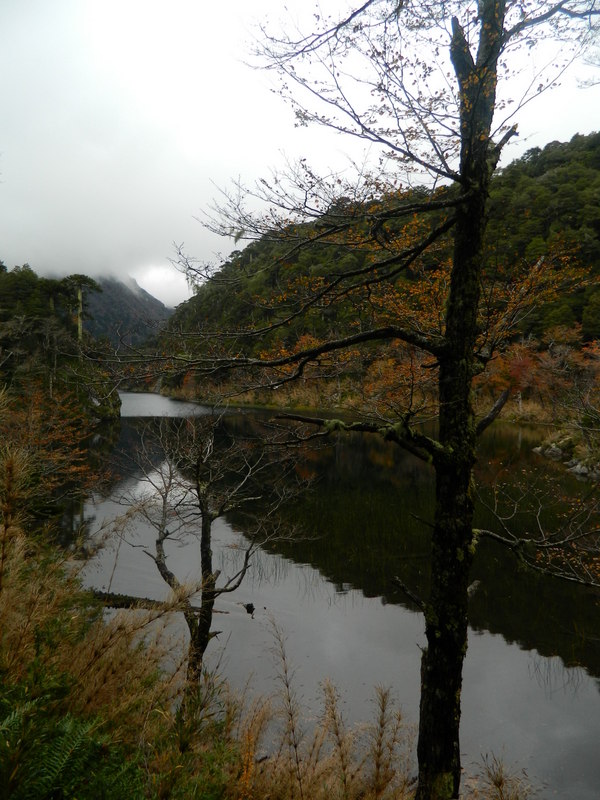 Foto: Pucon - Pucon (Araucanía), Chile