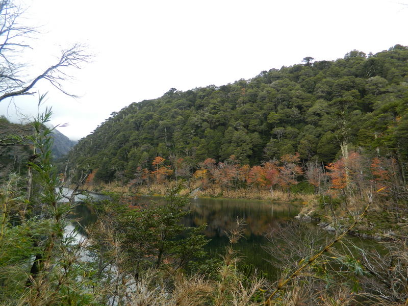 Foto: Pucon - Pucon (Araucanía), Chile