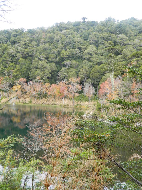 Foto: Pucon - Pucon (Araucanía), Chile