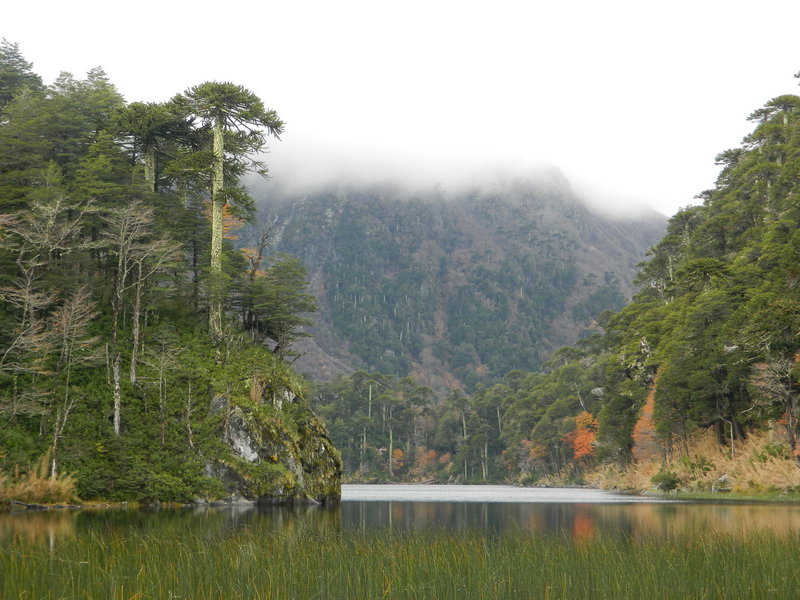 Foto: Pucon - Pucon (Araucanía), Chile