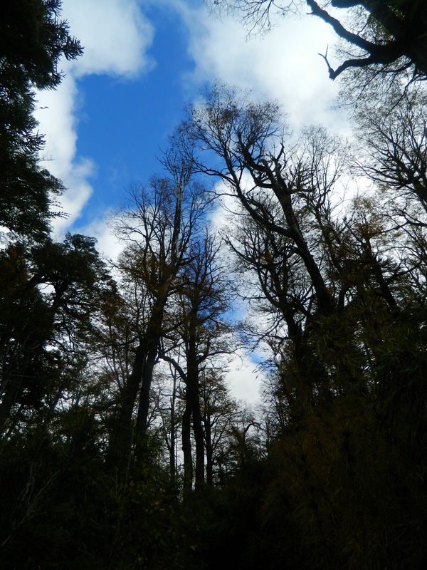 Foto: Pucon - Pucon (Araucanía), Chile