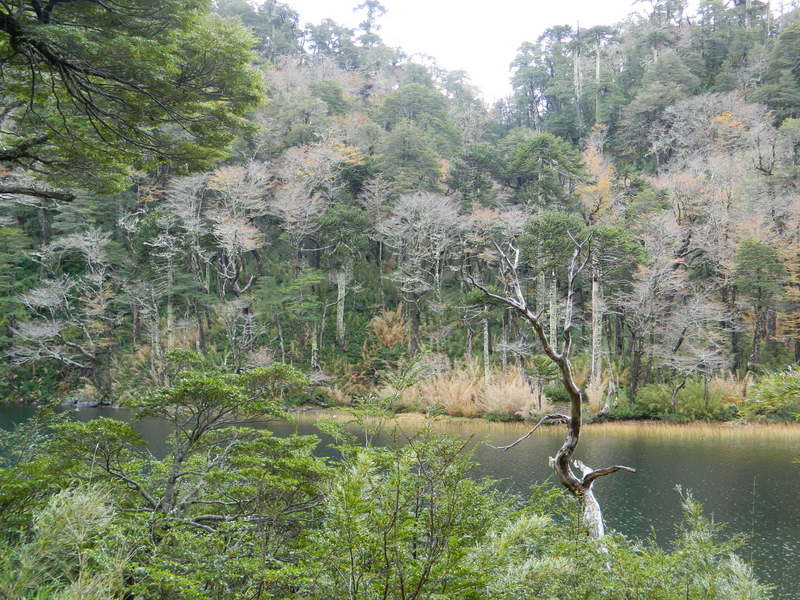 Foto: Pucon - Pucon (Araucanía), Chile