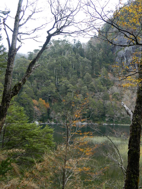 Foto: Pucon - Pucon (Araucanía), Chile