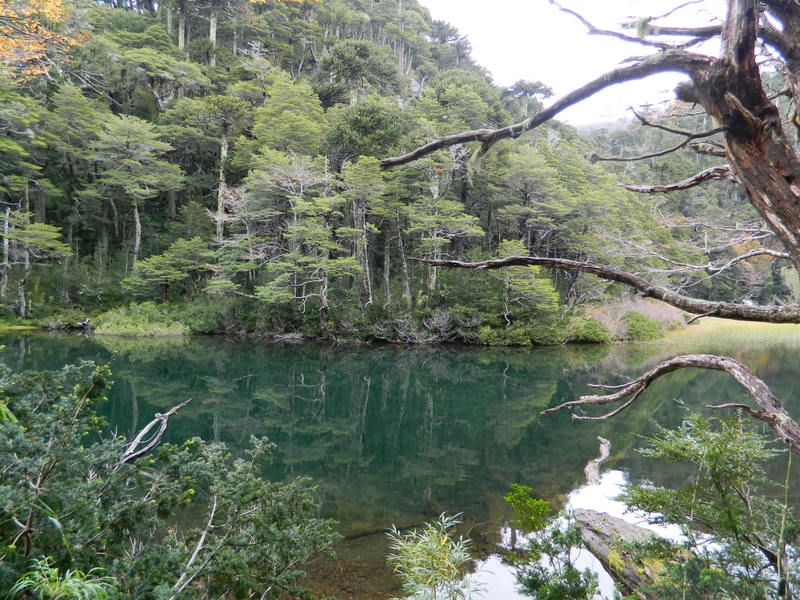 Foto: Pucon - Pucon (Araucanía), Chile