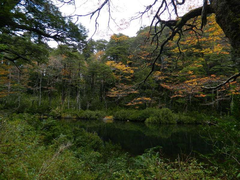 Foto: Pucon - Pucon (Araucanía), Chile