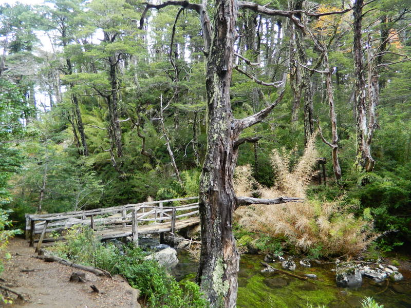 Foto: Pucon - Pucon (Araucanía), Chile