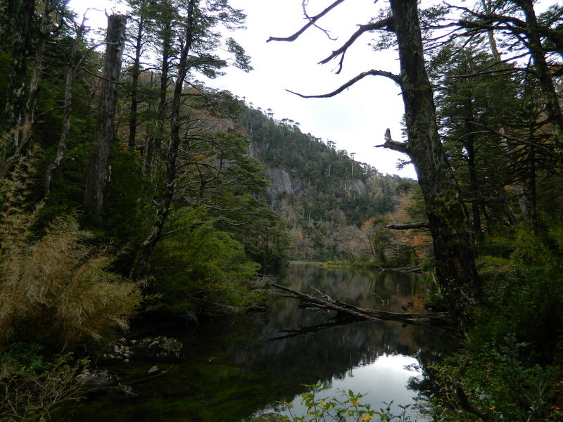 Foto: Pucon - Pucon (Araucanía), Chile