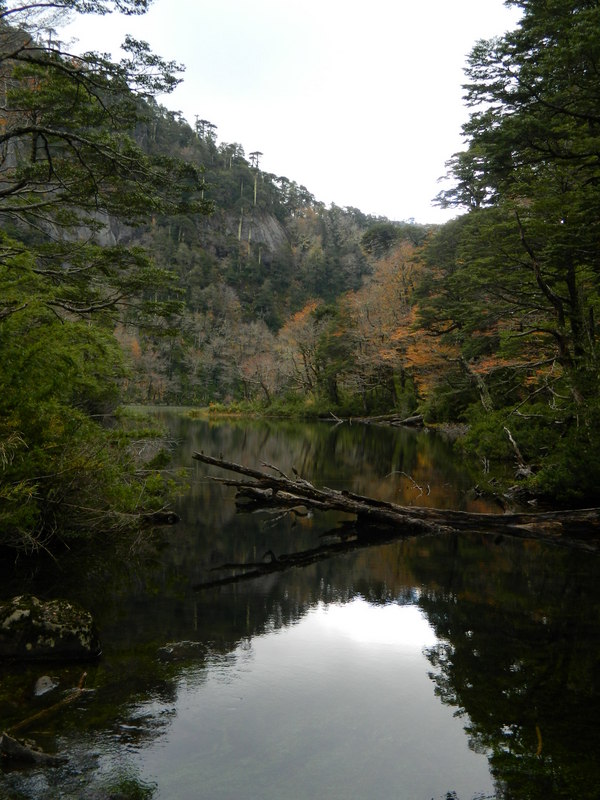 Foto: Pucon - Pucon (Araucanía), Chile