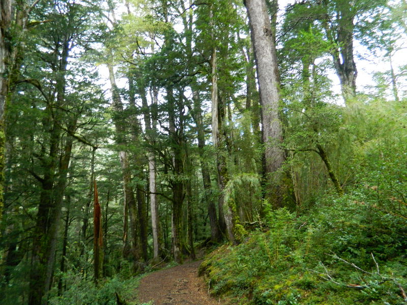 Foto: Pucon - Pucon (Araucanía), Chile