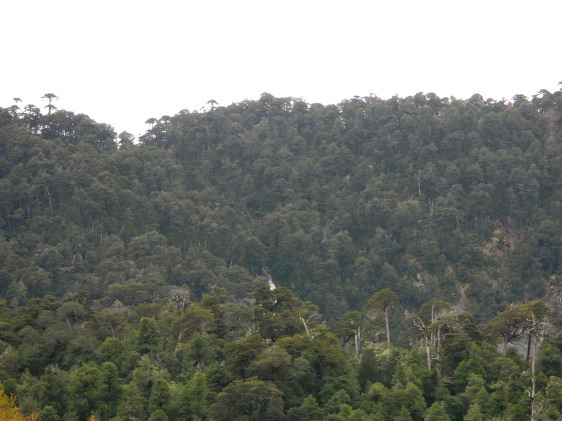 Foto: Pucon - Pucon (Araucanía), Chile