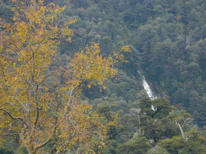 Foto: Pucon - Pucon (Araucanía), Chile