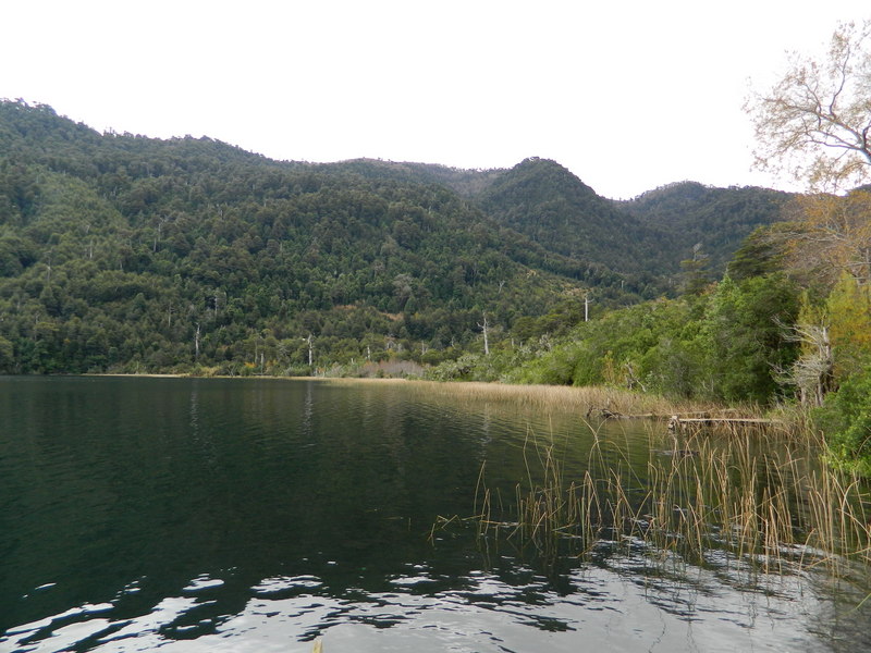 Foto: Pucon - Pucon (Araucanía), Chile