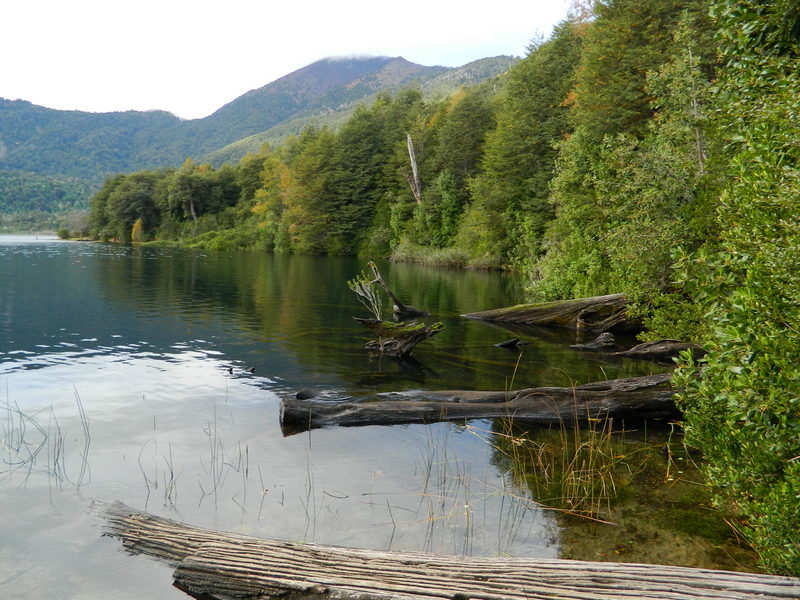 Foto: Pucon - Pucon (Araucanía), Chile