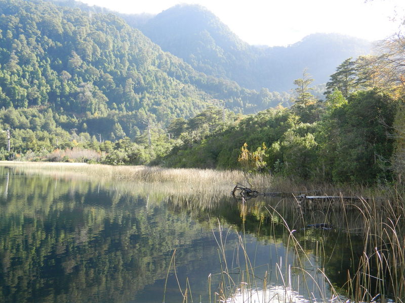 Foto: Pucon - Pucon (Araucanía), Chile