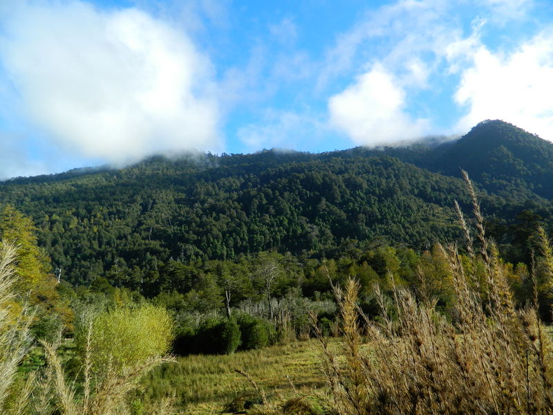 Foto: Pucon - Pucon (Araucanía), Chile