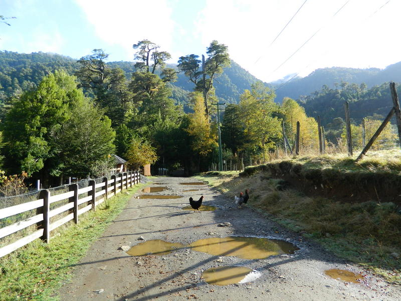 Foto: Pucon - Pucon (Araucanía), Chile