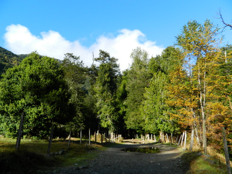 Foto: Pucon - Pucon (Araucanía), Chile