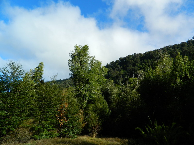 Foto: Pucon - Pucon (Araucanía), Chile