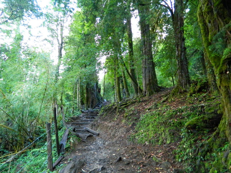 Foto: Pucon - Pucon (Araucanía), Chile