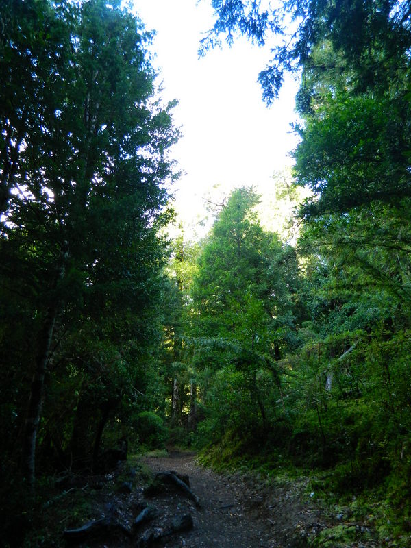 Foto: Pucon - Pucon (Araucanía), Chile