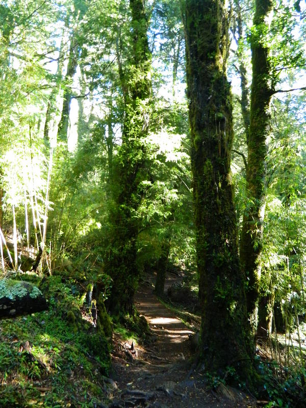 Foto: Pucon - Pucon (Araucanía), Chile