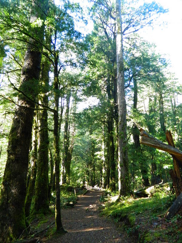 Foto: Pucon - Pucon (Araucanía), Chile