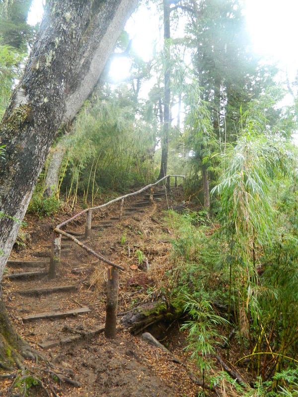 Foto: Pucon - Pucon (Araucanía), Chile