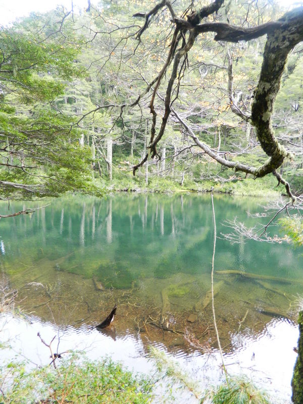 Foto: Pucon - Pucon (Araucanía), Chile