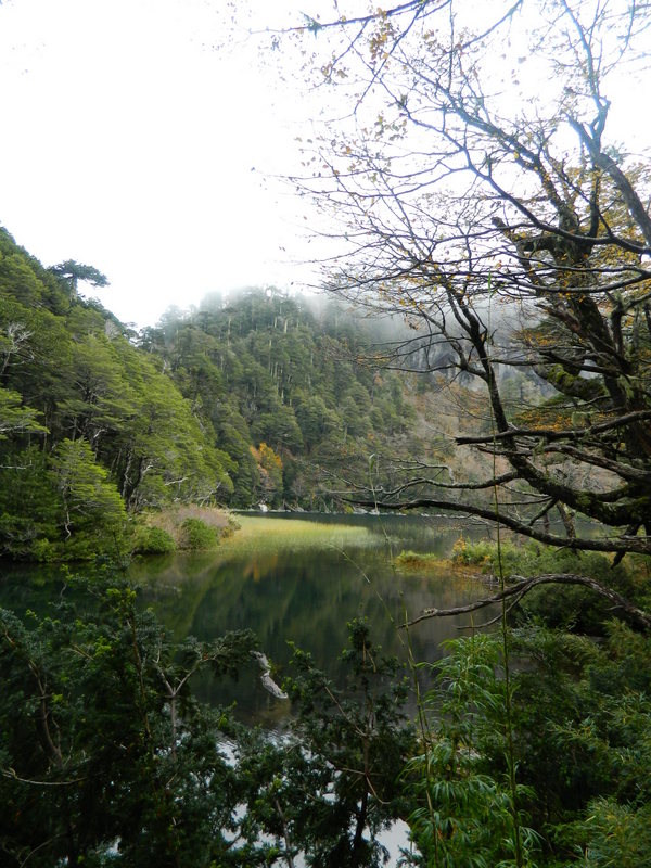 Foto: Pucon - Pucon (Araucanía), Chile